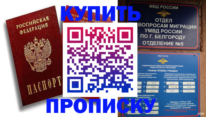 прописка иностранных граждан в Курчалом